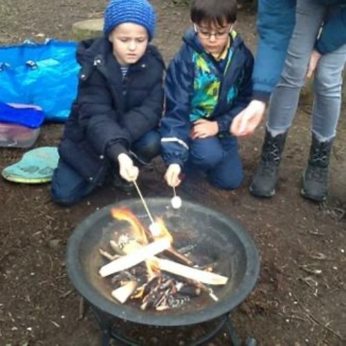 image(11), image(11)