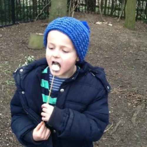 image(13), image(13)