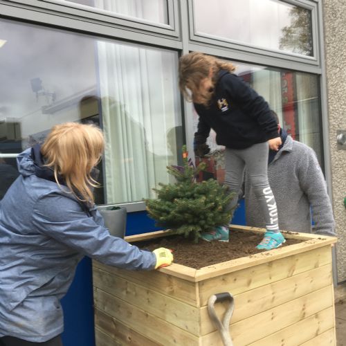 Planter being planted