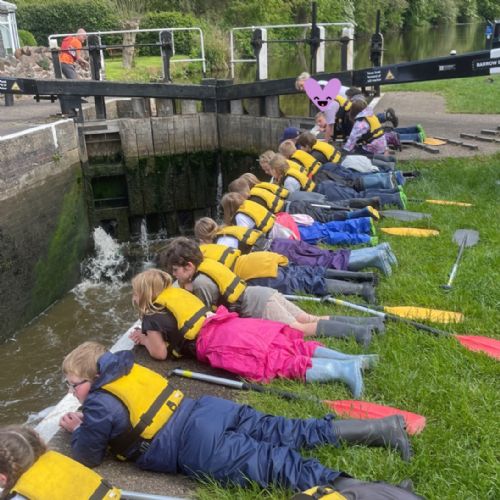 MicrosoftTeams-image37)