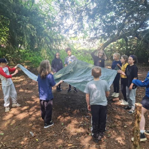 MicrosoftTeams-image