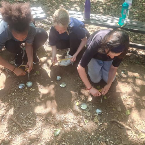 MicrosoftTeams-image3)