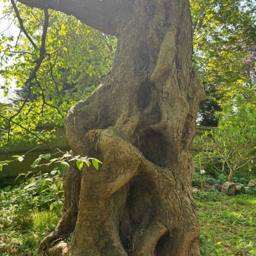 Eco Ambassadors 2025