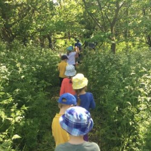 Forest School May 2018